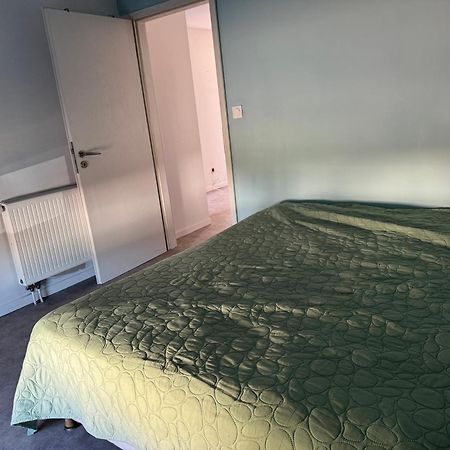 Appartement Vacances Benfeld エクステリア 写真